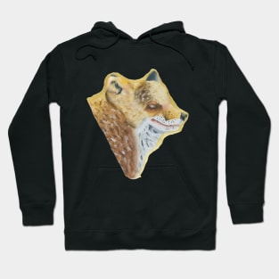 Beautiful golden fox portrait Hoodie